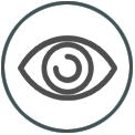 eye icon