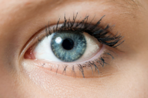 A closeup of a woman's bright blue eye