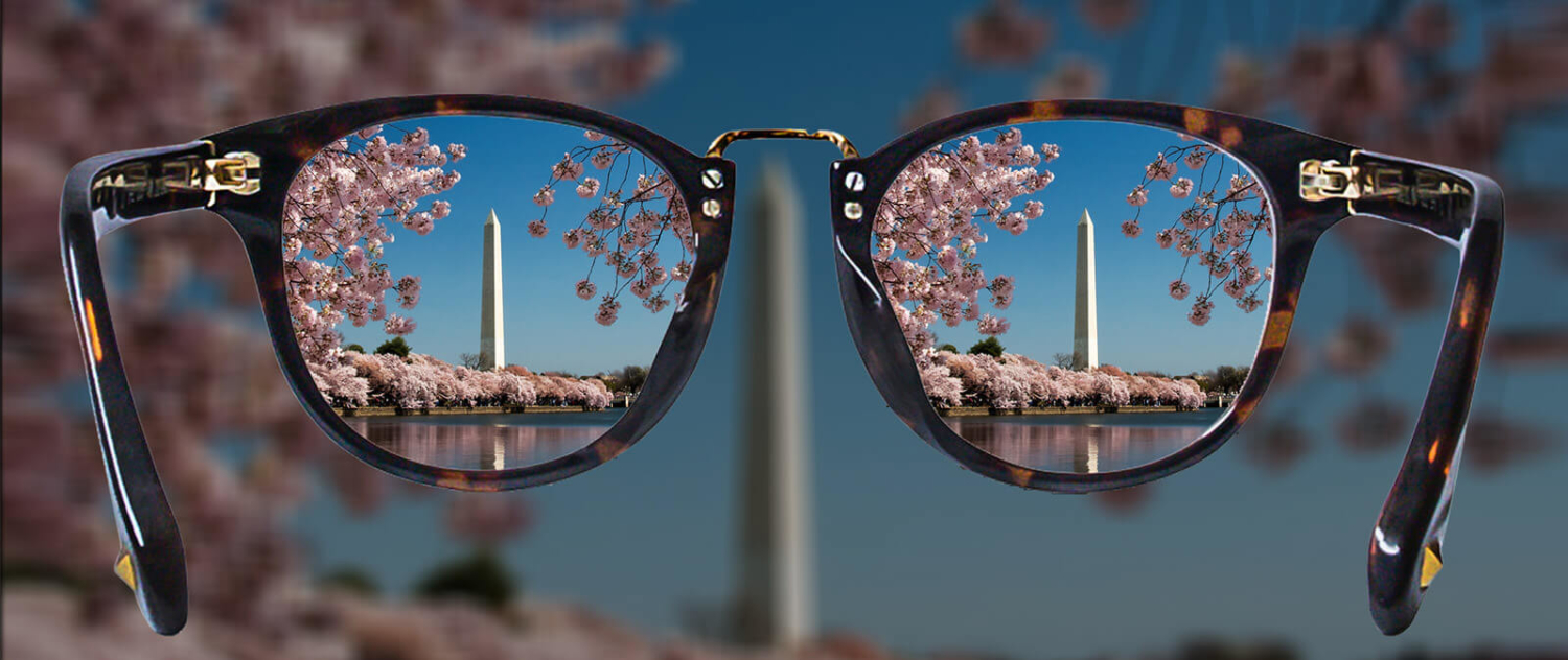 the washington monument and cherry blossoms in view through a pair of glasses