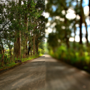 divided, focused and unfocused photography, as seen by a person with myopia